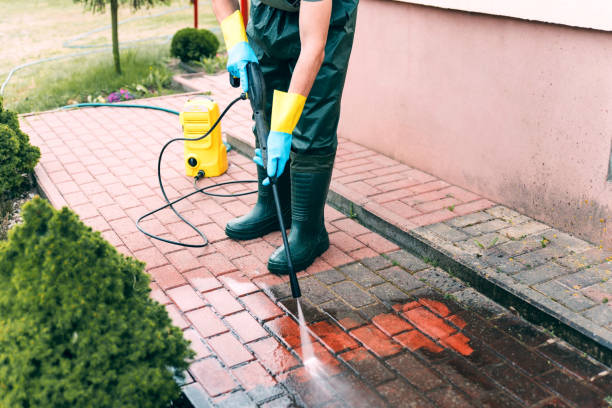 Best Animal Enclosure Cleaning  in Splendora, TX